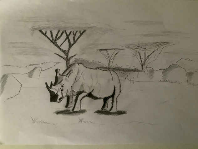 RINOCERONTE A LÁPIZ Graphite