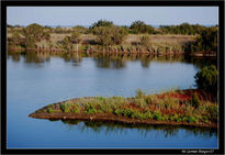 Laguna del Guadalhorce