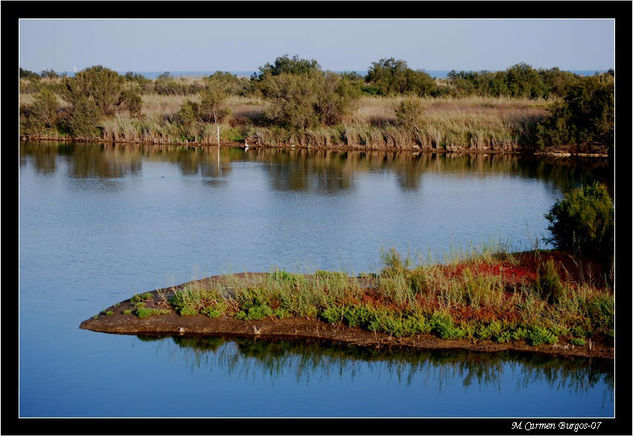 Laguna del Guadalhorce Naturaleza Color (Digital)