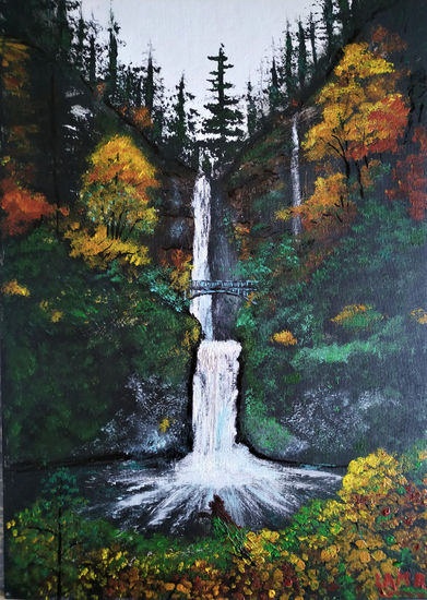 AGUA SALVAJE(GARGANTA DEL RIO COLUMBIA) Acrylic Others Landscaping