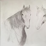 Animales thumbnail 1
