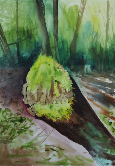 Tronco Watercolour Paper Landscaping