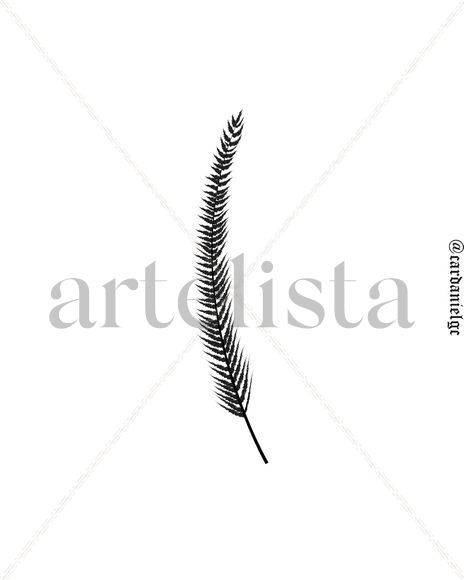 Plumas oscuras