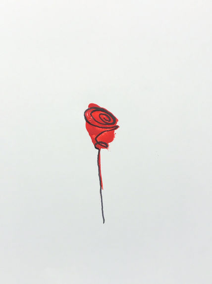 St George’s rose