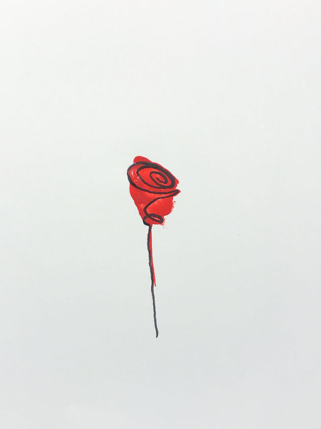St George’s rose