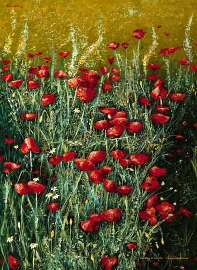 Amapolas Oil Canvas Landscaping