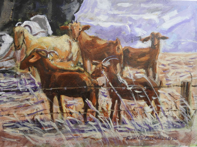 Cabras en la Sierra de Antequera 2
