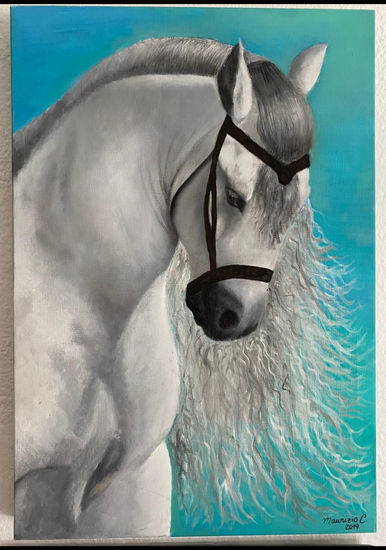 Caballo de Mauri Oil Canvas Animals