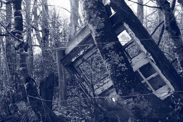 BROKEN WINDOW