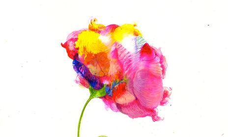 Flores