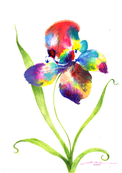 Orquídea Multicolor Gouache Papel Floral