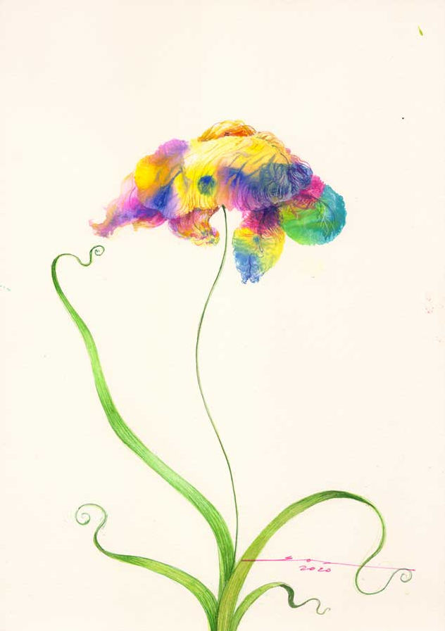 Orquídea Amarilla