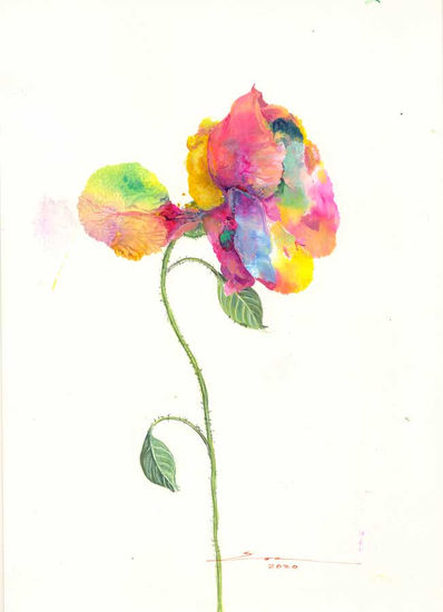 Rosa Perfil Gouache Paper Floral Painting