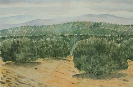 Jaén