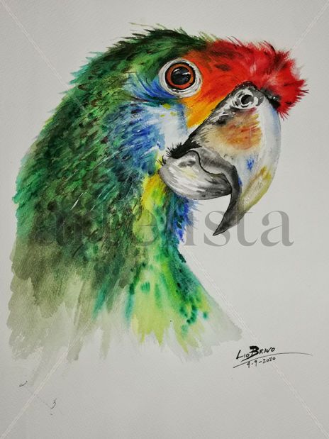 Loro pensativo