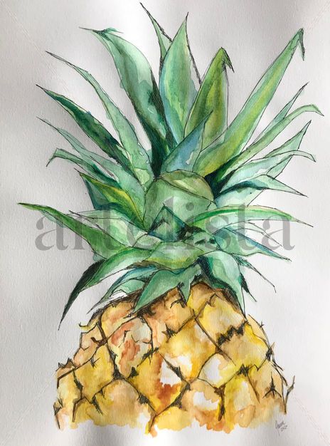 La Piña Amailla