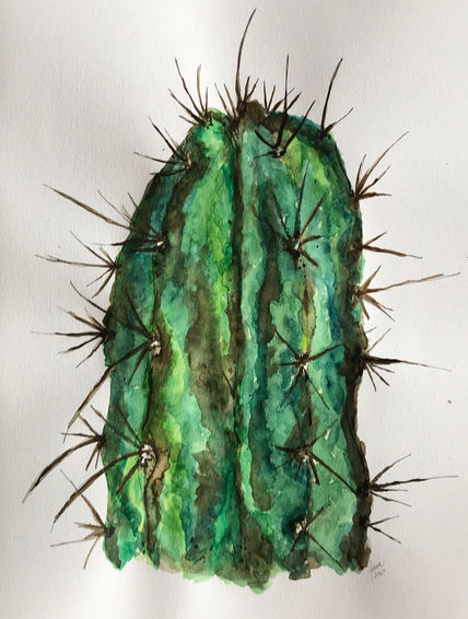 Cactus Espinoso