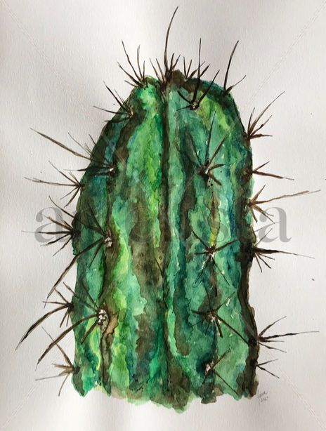 Cactus Espinoso