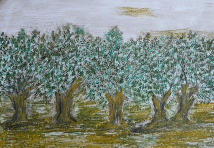 Olivos de jaén iii