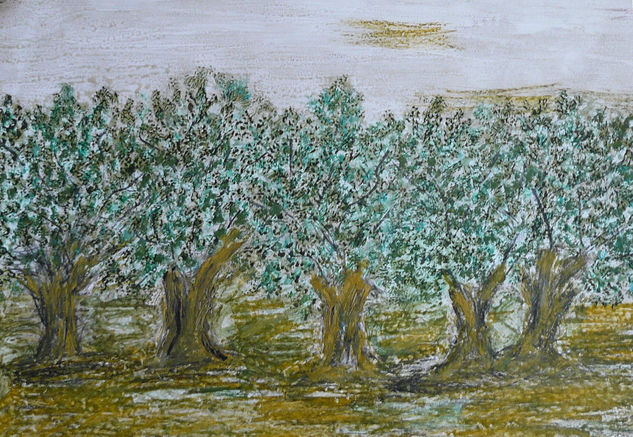 OLIVOS DE JAÉN III Acrílico Cartulina Paisaje