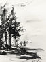 Tinta 020