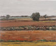 Tierras de labor cerca de Castrillo de D.Juan. Cerrato (Palencia)