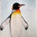 Aves thumbnail 2