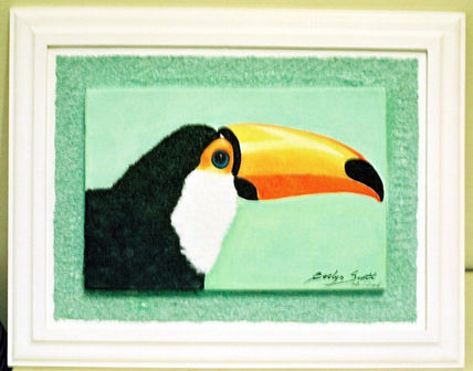 O tucano