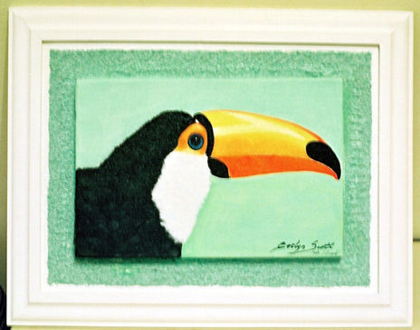 O tucano