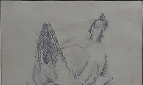 Serie El gallinero