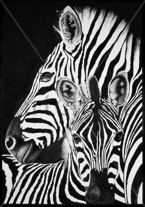 Zebras