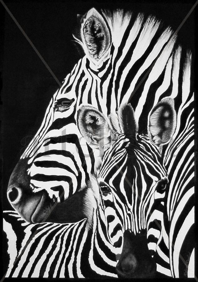 Zebras