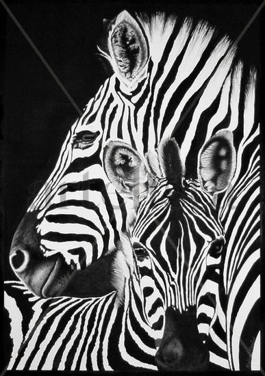 Zebras Watercolour Paper Animals