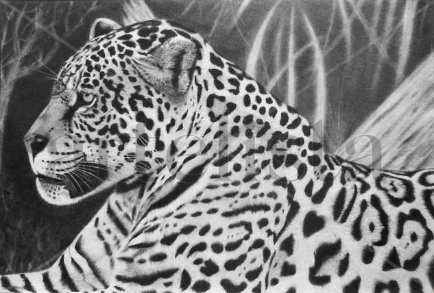 Leopardo Lápiz