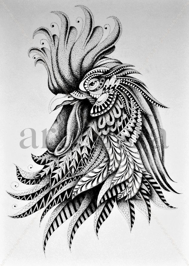 gallo
