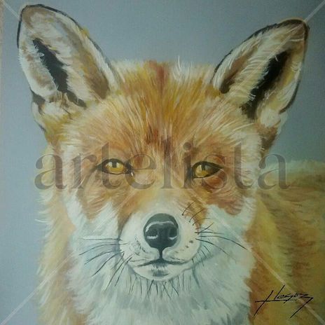 "Fox"