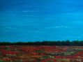 Campo de amapolas