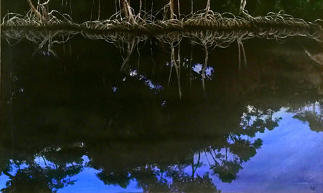 Naturaleza