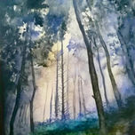 Naturaleza thumbnail 2