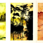 Naturaleza thumbnail 1