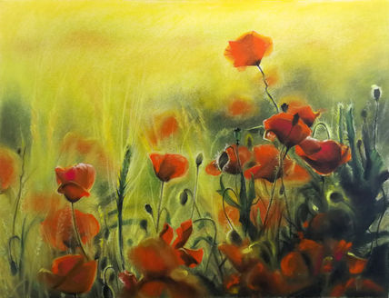 Campo de amapolas