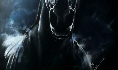 Animales