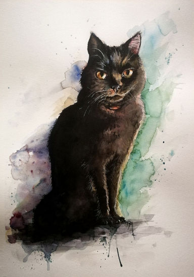 Gato Negro Acuarela Papel Animales