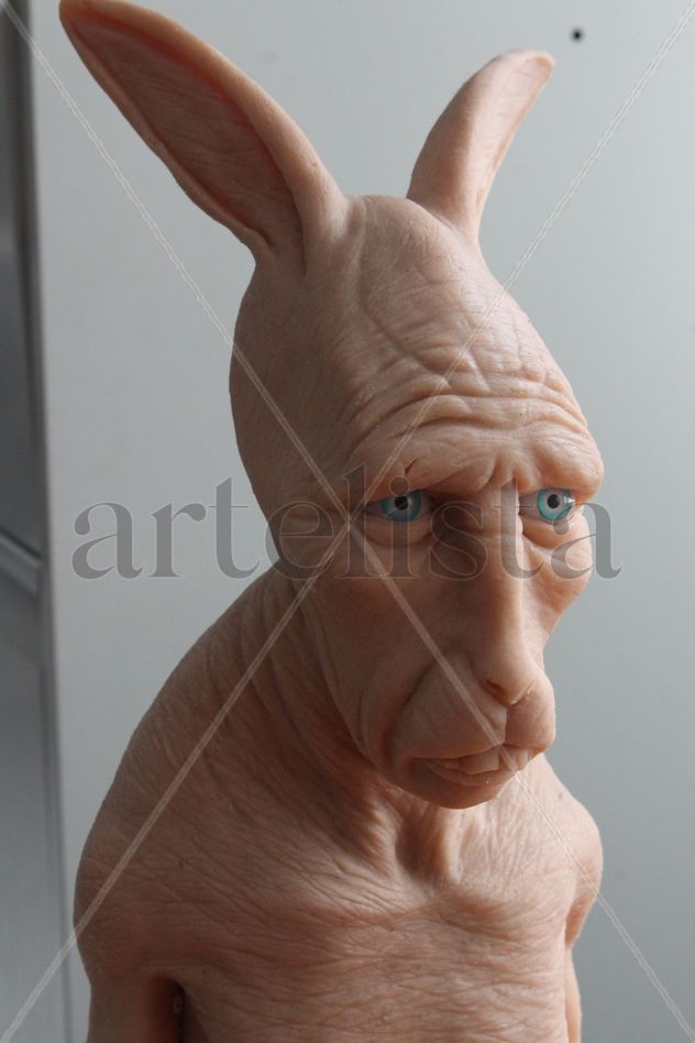 hombre conejo pequeño
