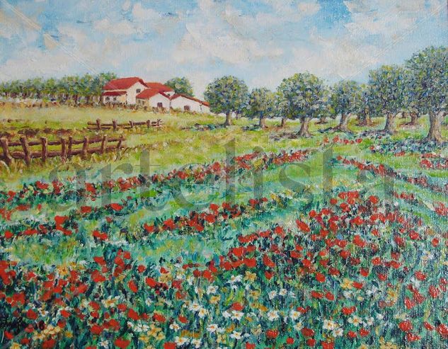 Papoilas Oil Canvas Landscaping