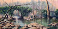 Bridge over stream - Puente sobre riachuelo
