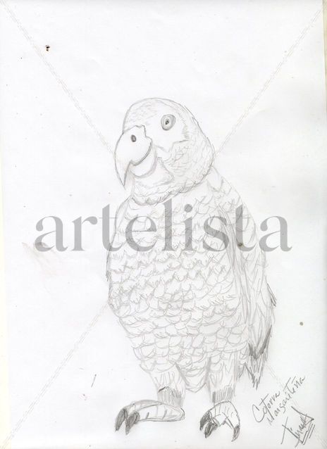 Loro