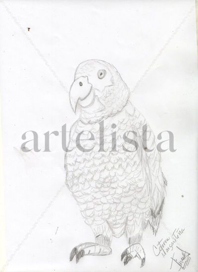 loro Pencil