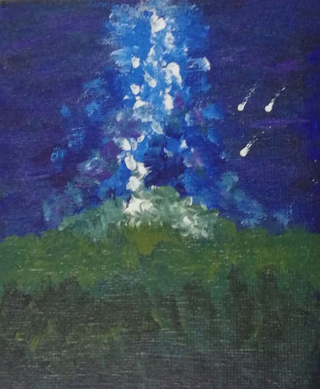 Noche de Estrellas Fugaces Acrylic Panel Landscaping