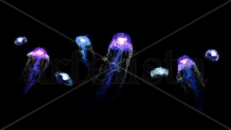 Medusas en el fondo...